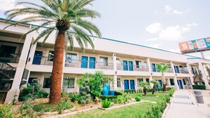 A multi-story hotel with balconies, a palm tree, and a well-maintained garden.