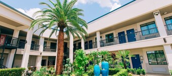 Palace Inn Blue I-45 & College Ave