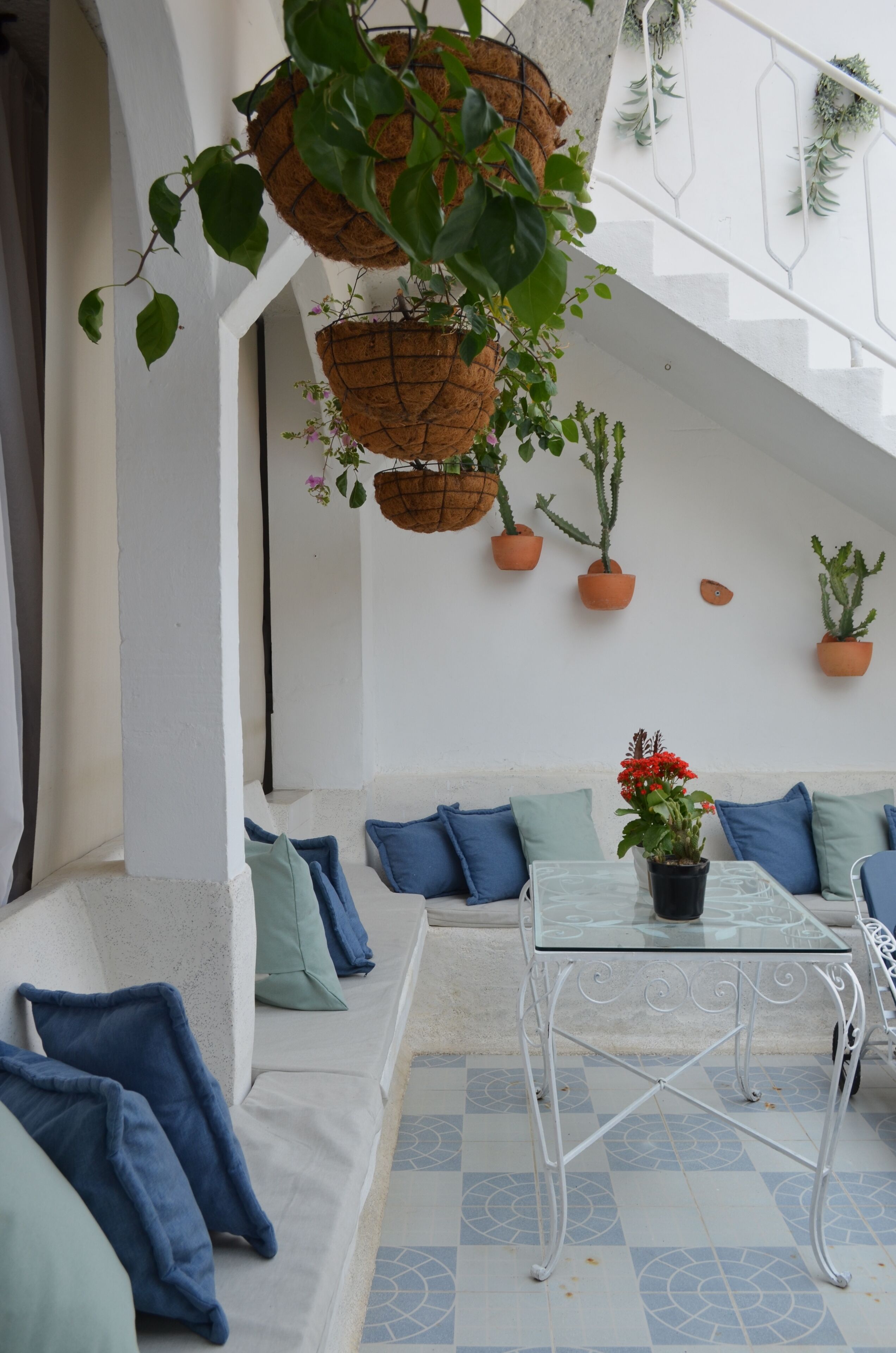 Un interior moderno con una escalera blanca, cojines azules y macetas colgantes con diversas plantas.