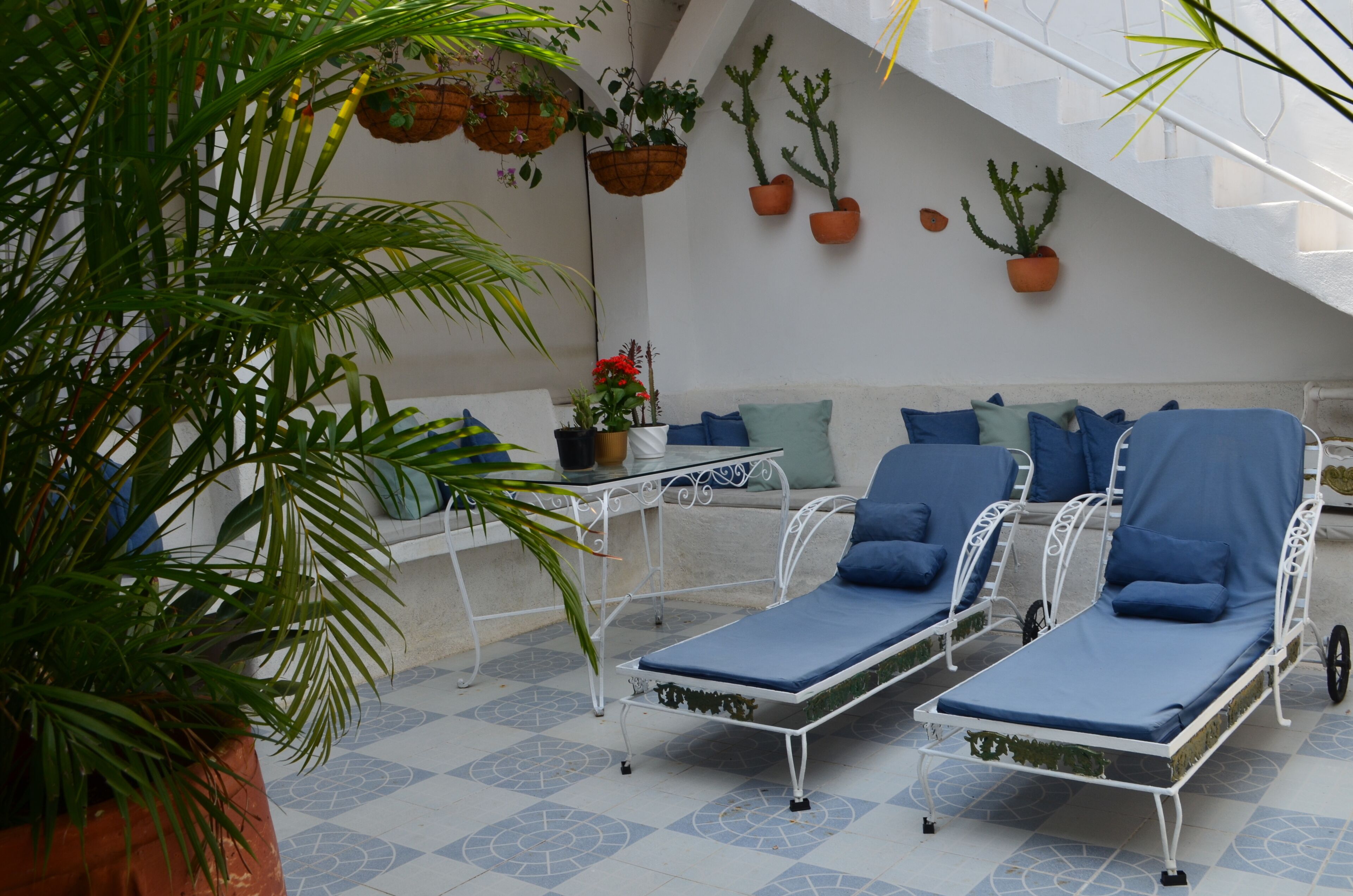 A sunlit patio with two lounge chairs, a small table, and a variety of potted plants.