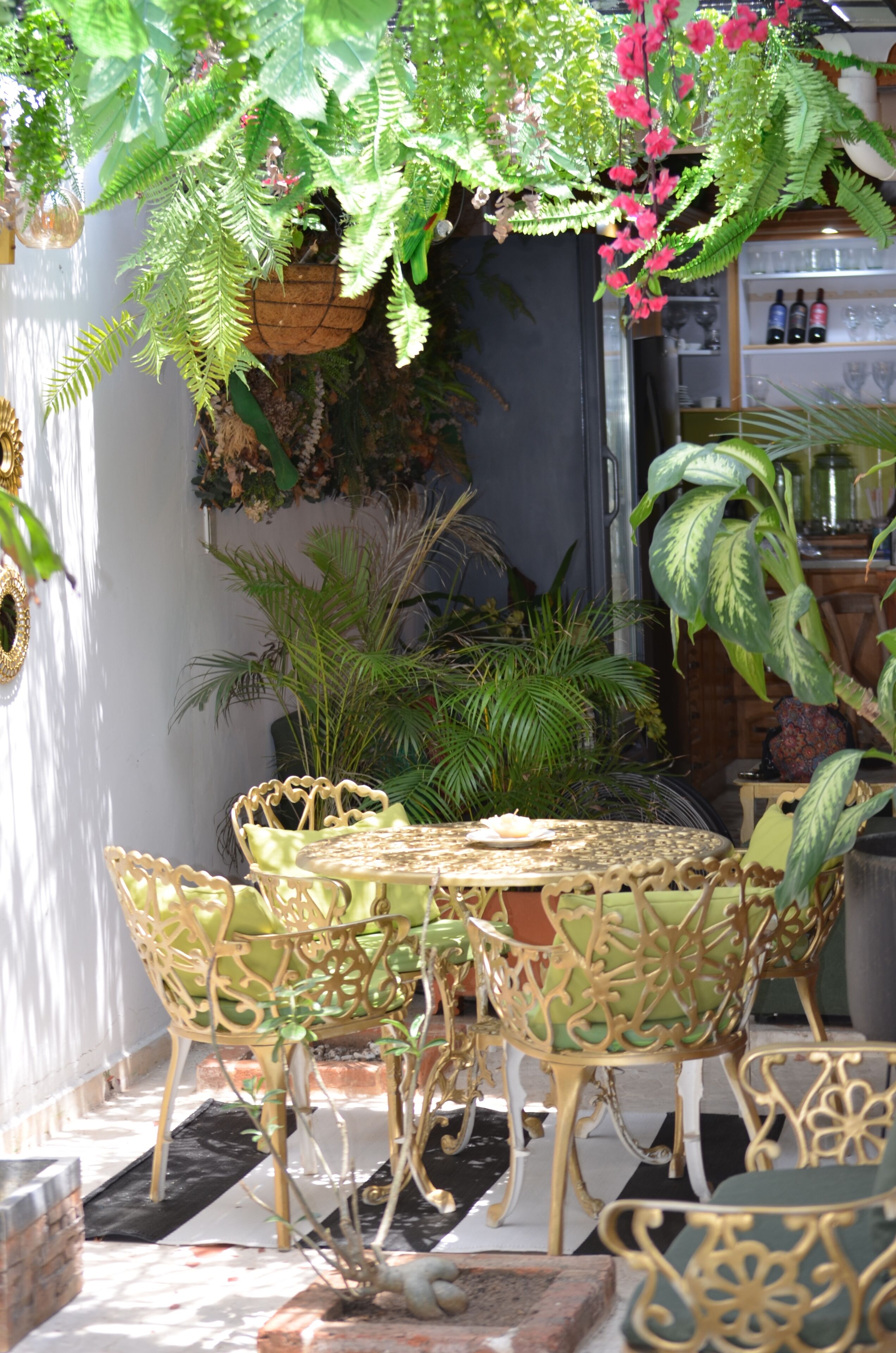 Un patio con una mesa redonda y sillas, rodeado de macetas con diversas plantas y una cesta colgante con flores.