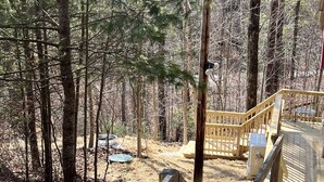 A wooden deck with a railing, surrounded by a forested area with pine trees.