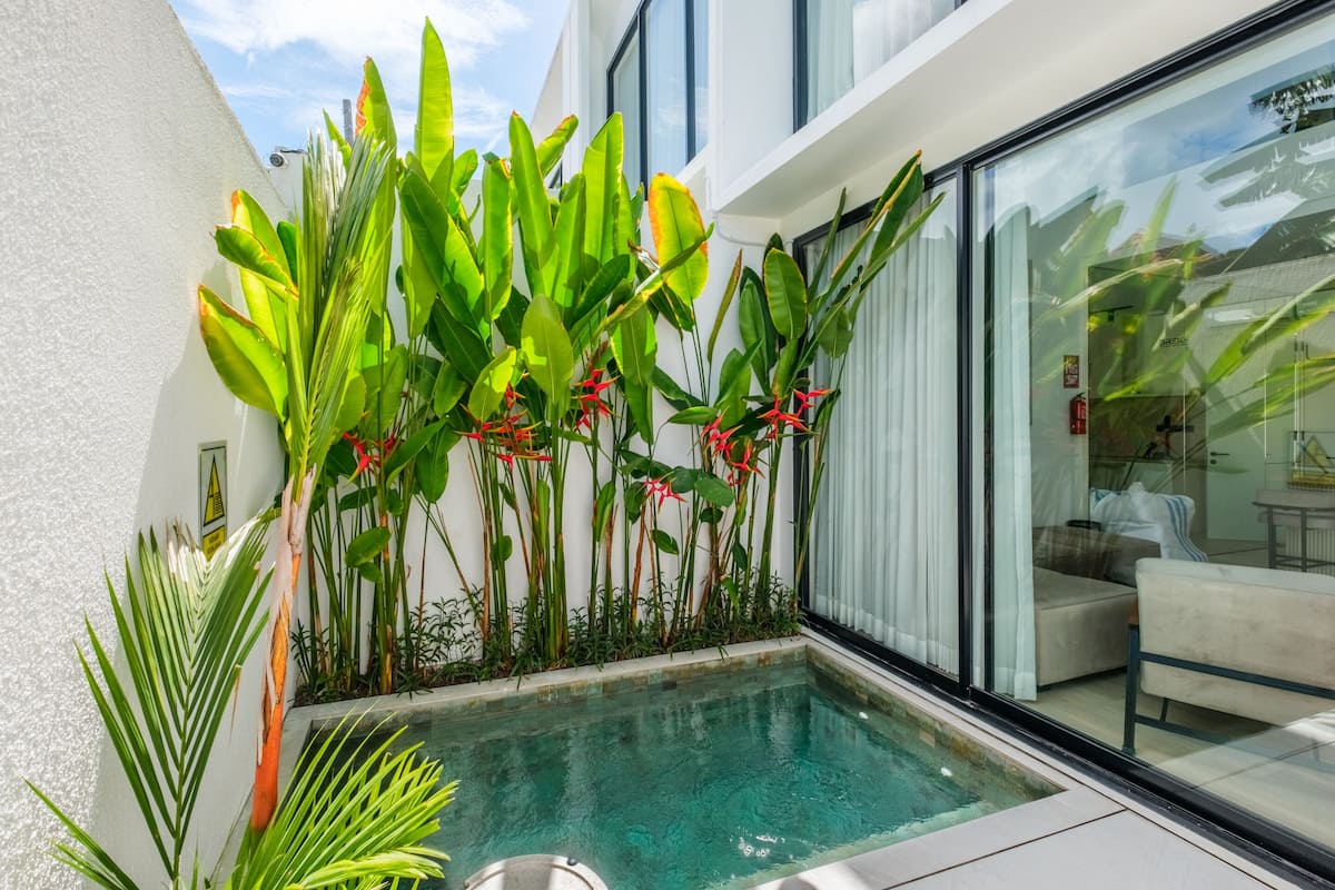 A modern outdoor pool area with a glass enclosure, surrounded by lush tropical plants and a white wall.