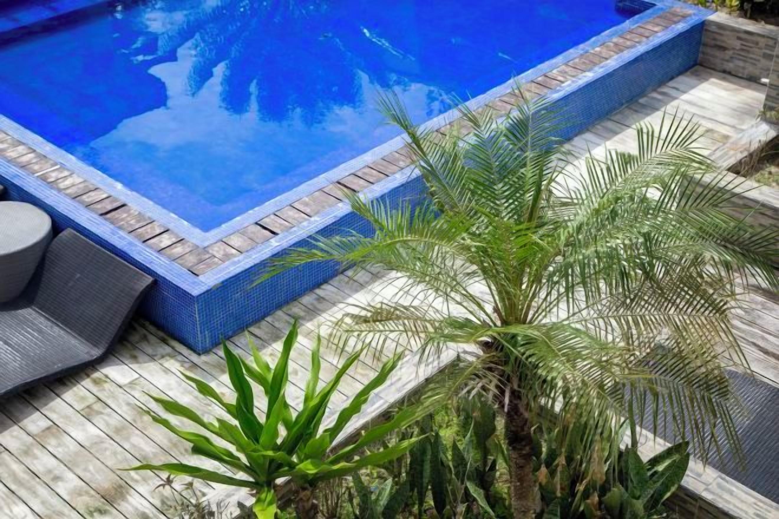 Une piscine avec une terrasse en bois et un palmier au premier plan.