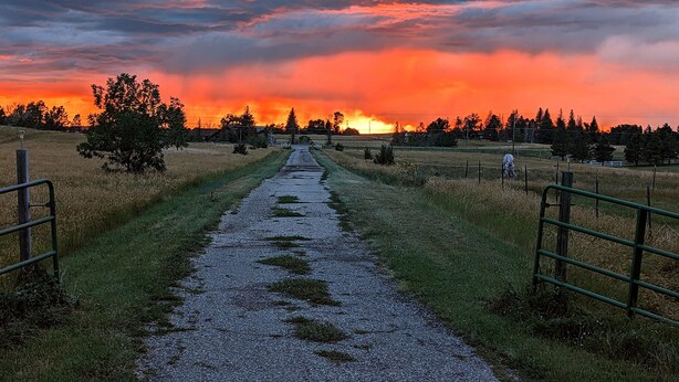 A gravel path leading to a rural area with a sunset in the background.