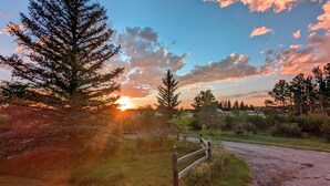 A rural landscape with a gravel path, wooden fence, and trees under a sunset sky.