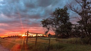 A rural landscape with a metal gate, trees, and a sunset in the background.
