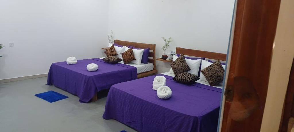 A hotel room with two beds, each with purple bedding and decorative pillows. There are towels on the beds and a small table with a plant.