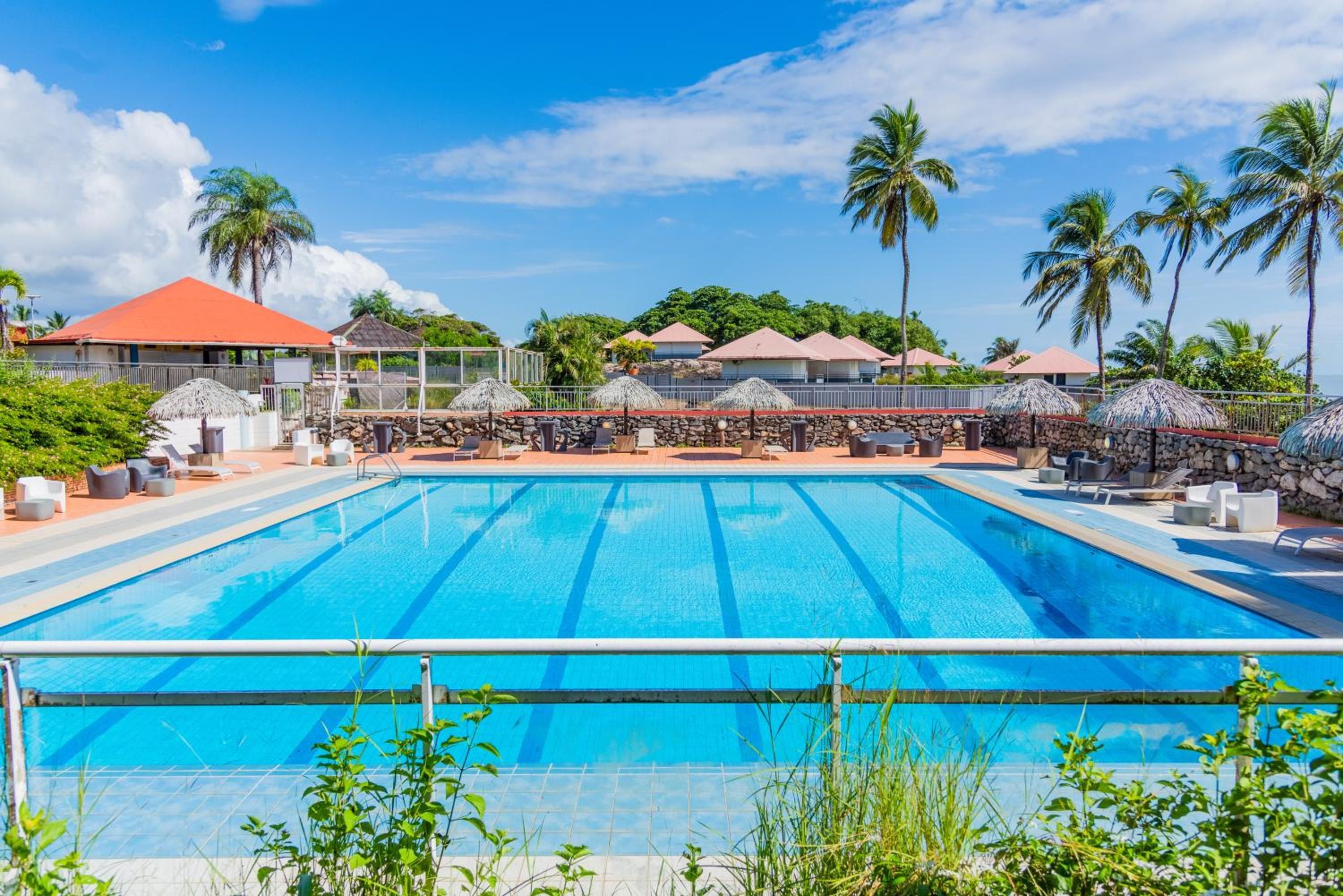 A swimming pool with lounge chairs and umbrellas, surrounded by palm trees and buildings.