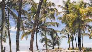 A deck with white wicker chairs and tables, surrounded by palm trees and a view of the ocean. - Hotel Des Roches (Kourou)