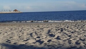 A sandy beach with a calm sea and a small structure in the distance. - 🌤️Gulf Sea View Condo in San Carlos 4 bdr near Coronado, El Valle&🏄‍♂️schools (San Carlos)