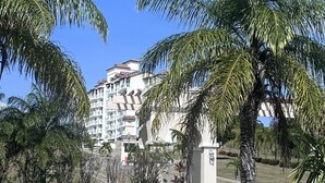 A hotel with multiple floors, palm trees, and a clear blue sky. - 🌤️Gulf Sea View Condo in San Carlos 4 bdr near Coronado, El Valle&🏄‍♂️schools (San Carlos)