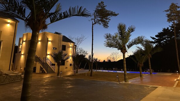 A modern building with a staircase, palm trees, and a pool area at dusk. - The on tourist hotel (Seosan)
