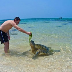 Pesca
