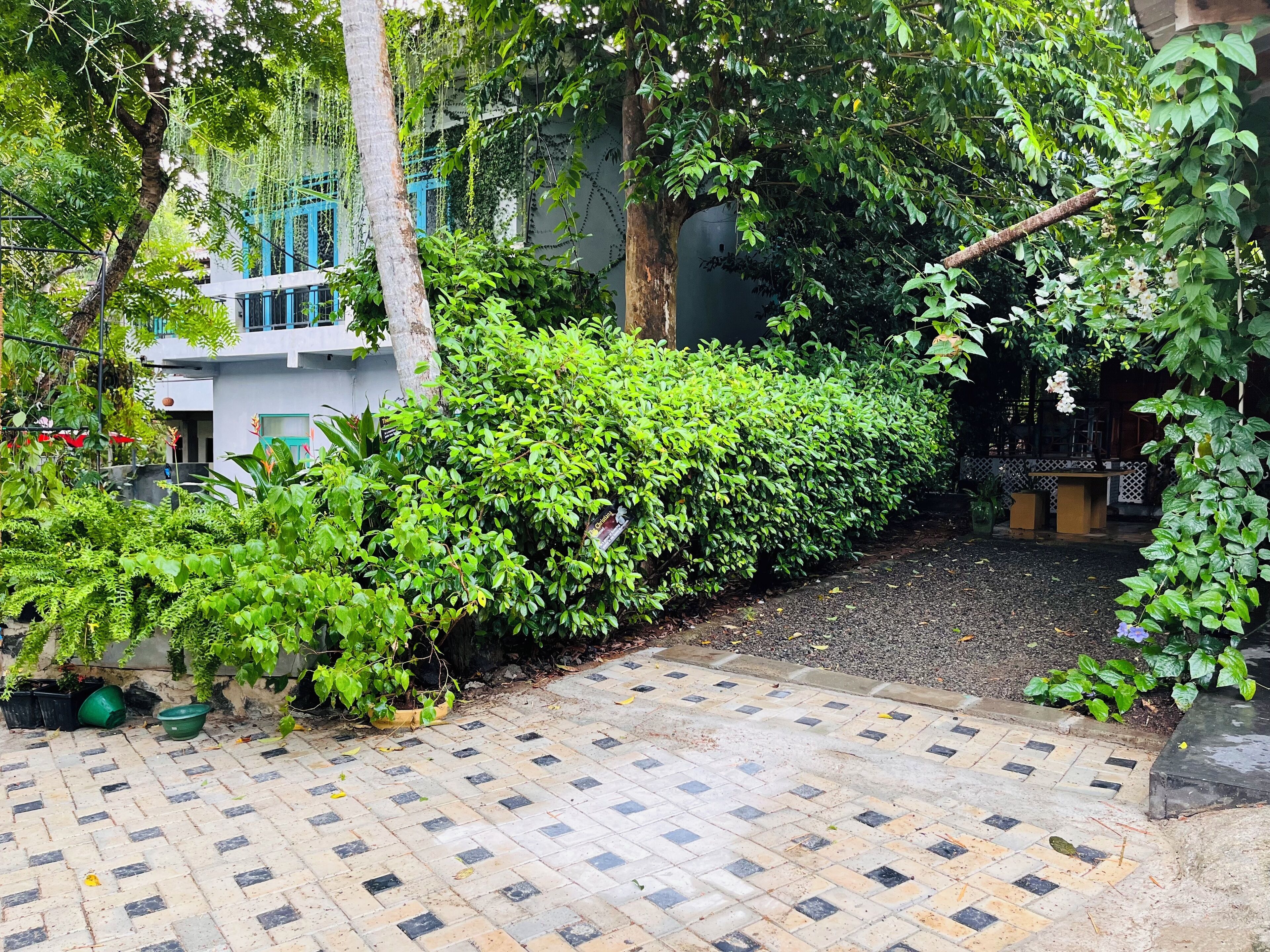 A paved pathway leading through a lush garden area with dense green foliage and a small seating area with a table and chairs.