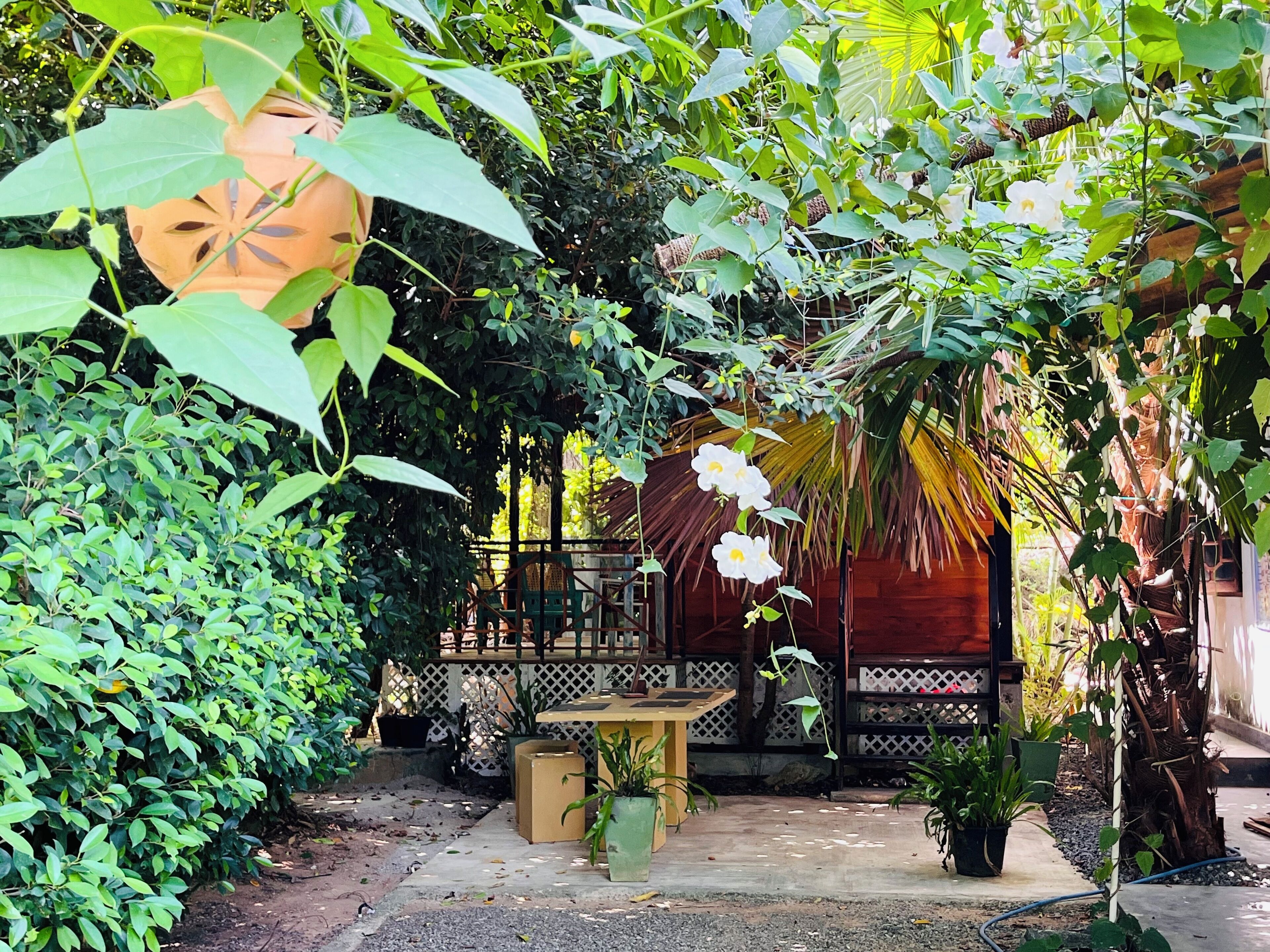 A garden area with a wooden table and chairs, surrounded by lush greenery and potted plants.