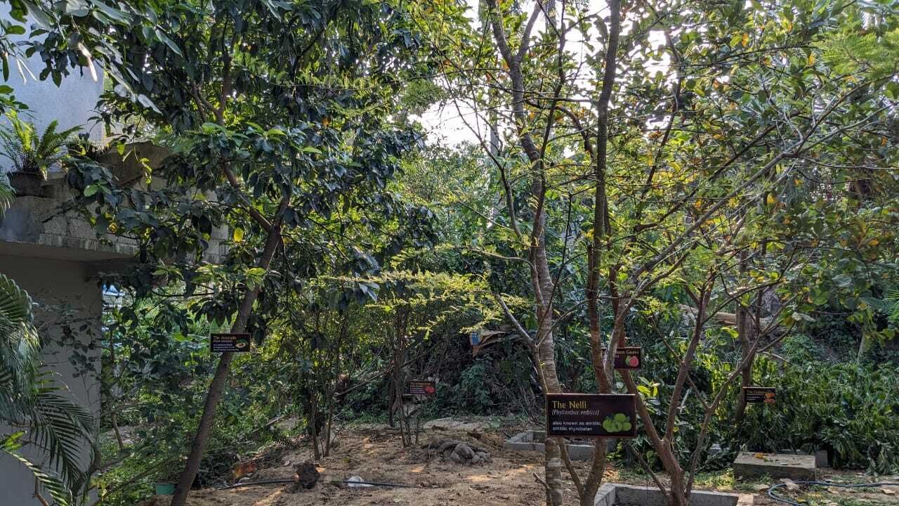 園景