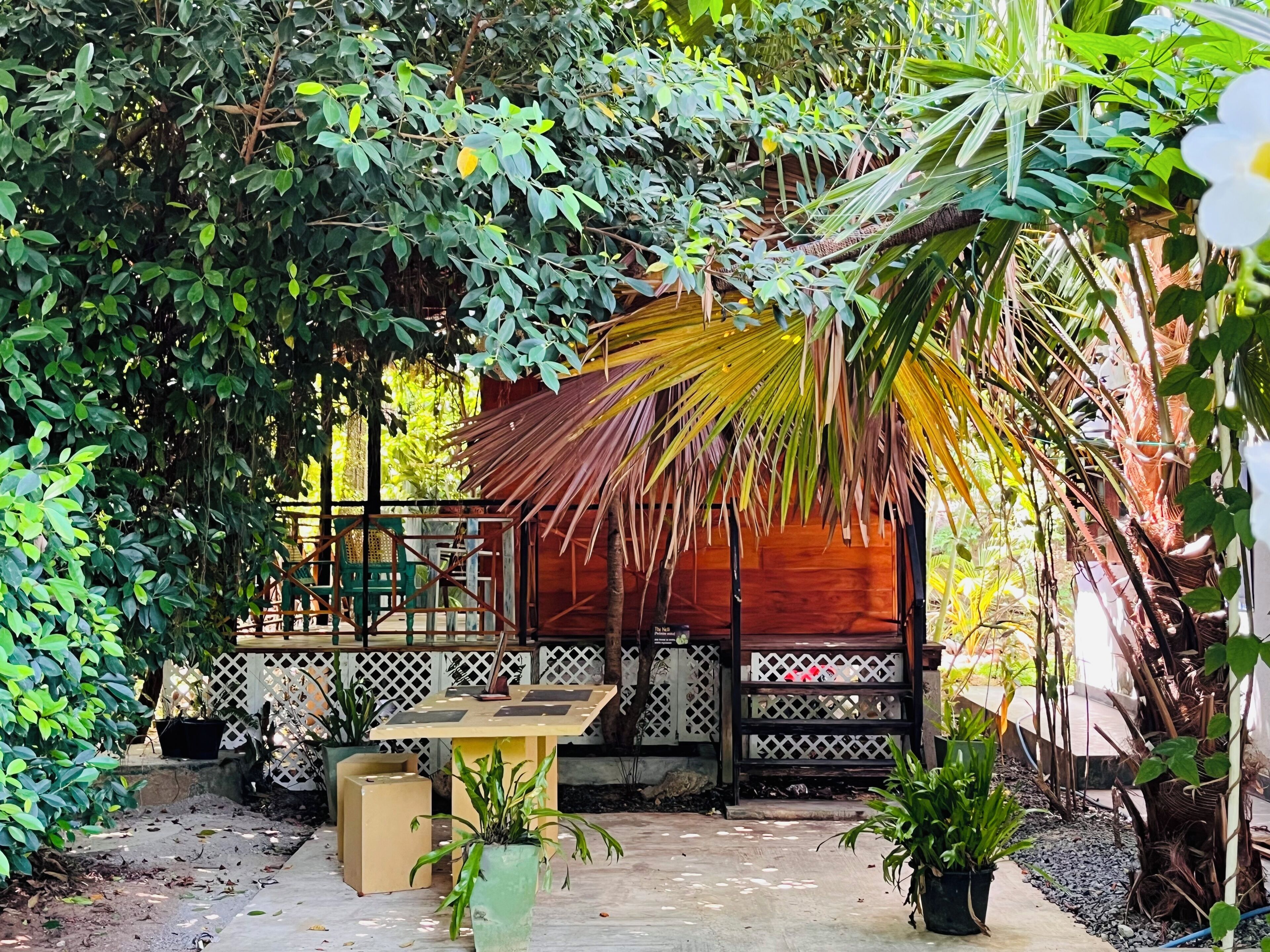 Une structure en bois surmontée d’un toit de chaume, entourée d’une végétation luxuriante et de plantes en pot.