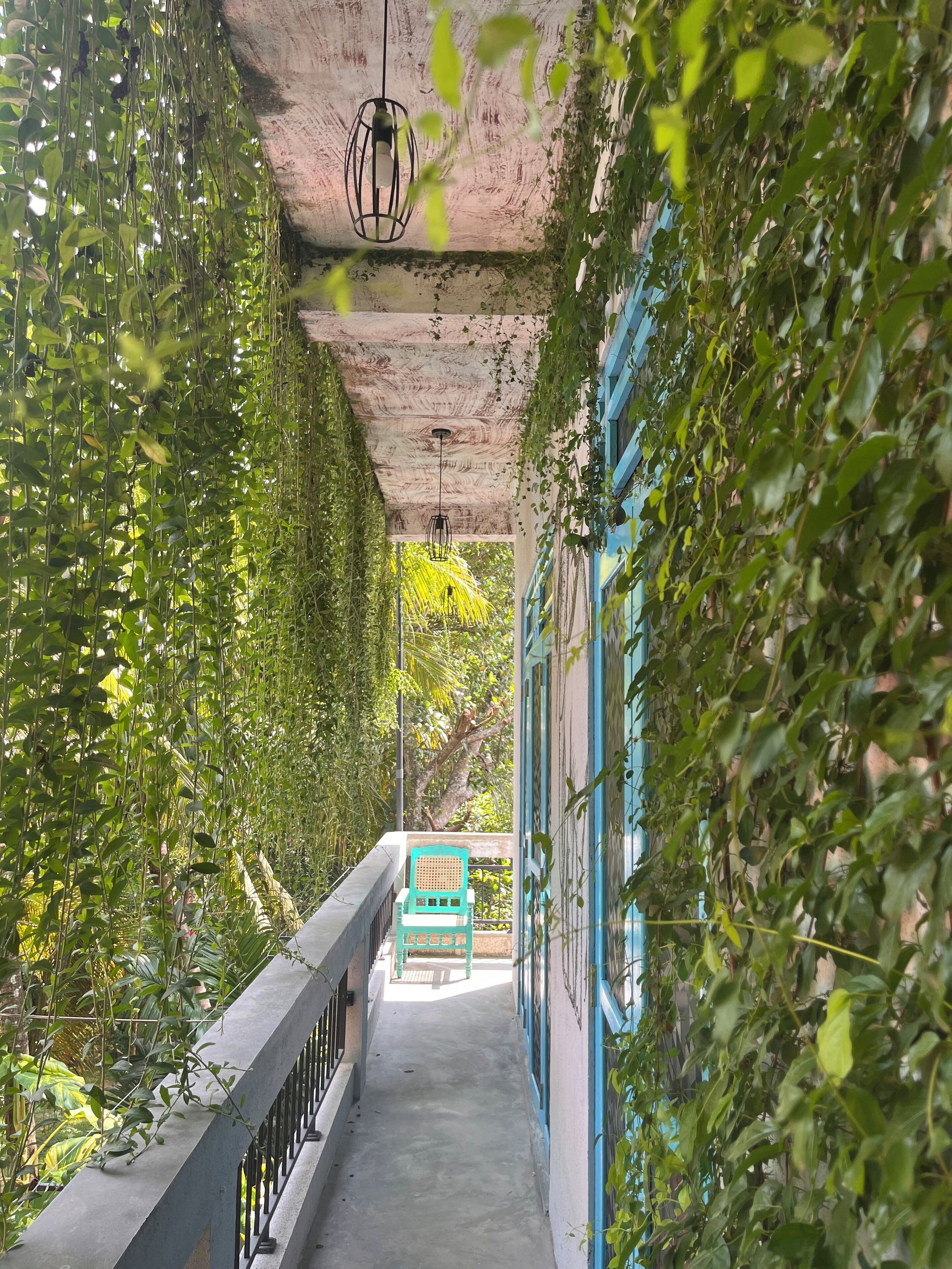 Un passadís estret amb sòl de formigó, baranes verdes i parets cobertes de plantes trepadores.