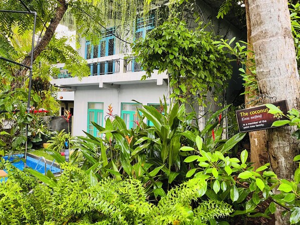 A building surrounded by lush greenery, including a coconut tree sign indicating it is part of the palm tree family.