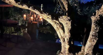 Castello del Cardaneto, Suite con Piscina in un Meraviglioso Contesto Naturale