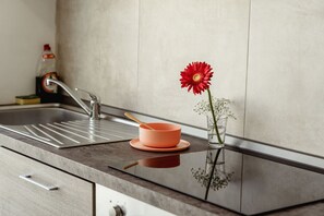 Fridge, microwave, oven, coffee/tea maker