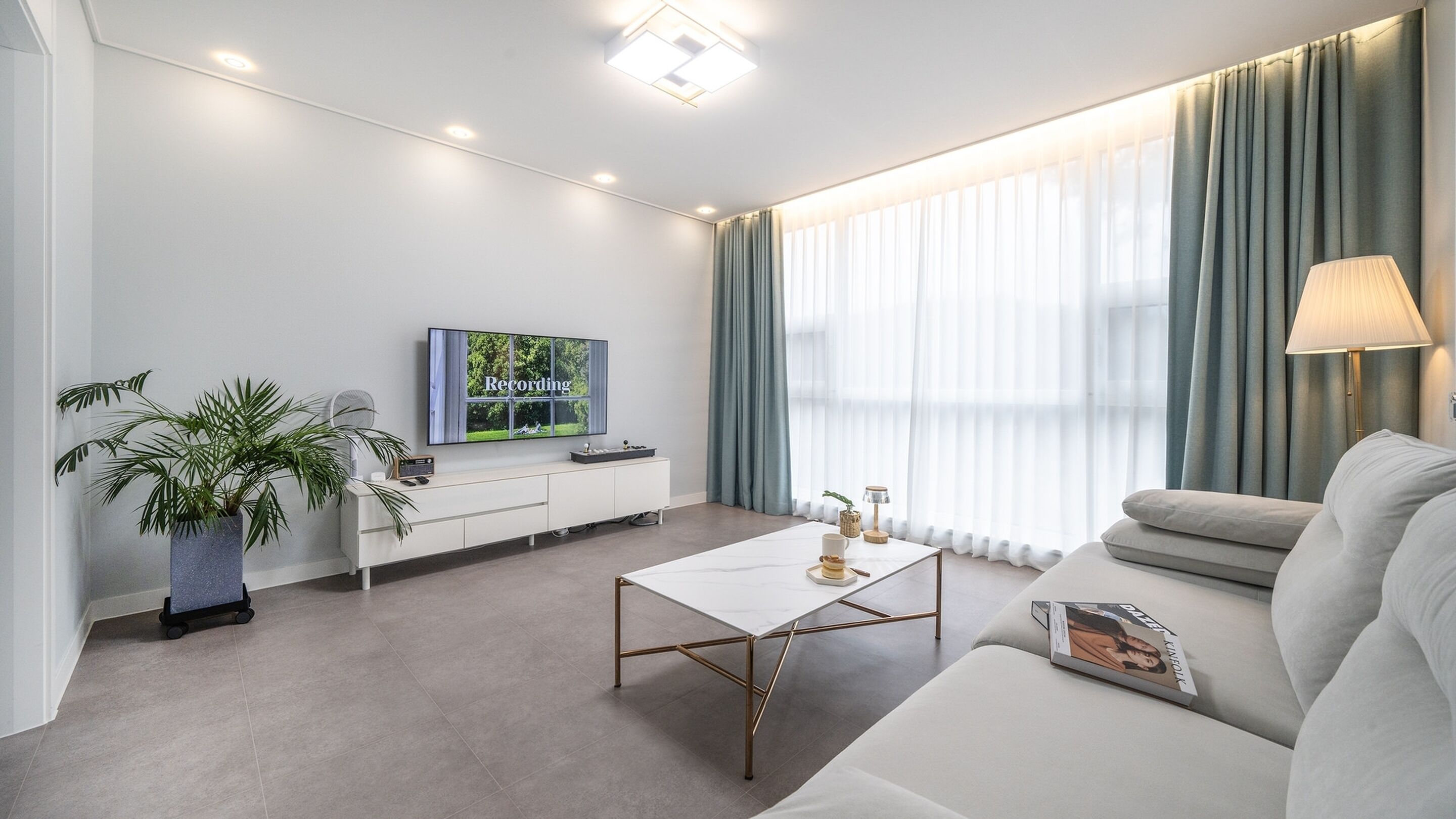A modern living room with a flat-screen TV, a coffee table, a sofa, and a potted plant.