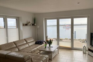 TV connectée, cheminée, lecteur de DVD, livres