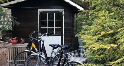 Lovely apartment in Putbus