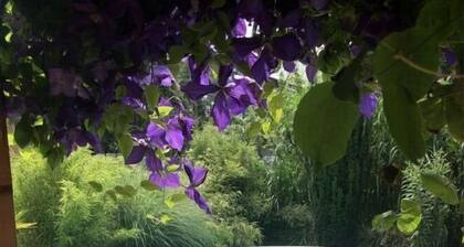 Charming apartment in Husum