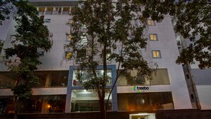 Un edificio moderno con un letrero de 'Treebo', ventanas amplias y un árbol en la fachada.