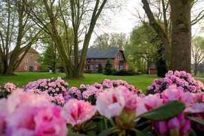 المنطقة المحيطة بالمنشأة