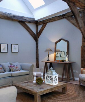 智能电视、DVD 播放器