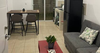 Ecoterra maquilishuat