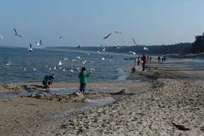 Plage à proximité