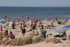 Beach nearby - Lovely apartment in Julianadorp (Julianadorp)