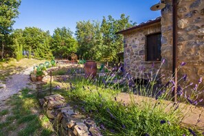 Guests can enjoy a serene stay amidst a well-maintained garden with lavender and greenery.