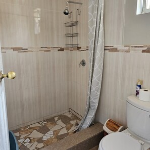 Shower, towels, toilet paper