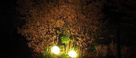 Terrain de lâhĂ©bergement