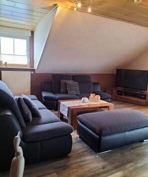 Fernseher