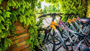 A row of bicycles parked against a brick wall with green foliage overhead. - Tenuta Regina Agriturismo e Glamping (Palazzolo dello Stella)