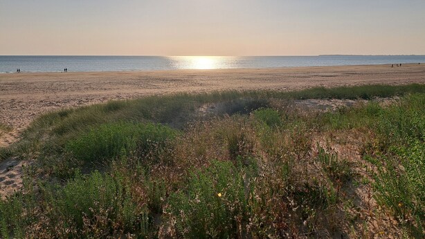 Una playa con el sol poniéndose en el horizonte, terreno arenoso y vegetación escasa en primer plano.
