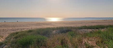 Una spiaggia nelle vicinanze, lettini da mare
