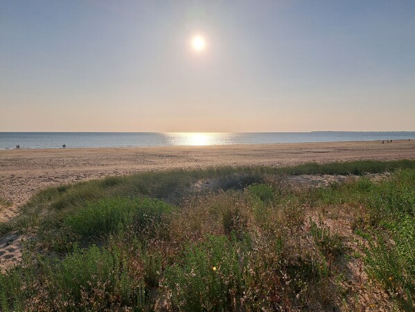 Beach nearby, sun-loungers - Location Maison à Barbâtre, Ile de Noirmoutier (Barbâtre)
