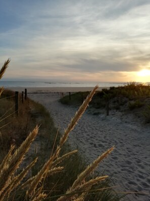 Plage à proximité, chaises longues