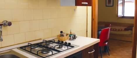 Fridge, oven, stovetop, cookware/dishes/utensils