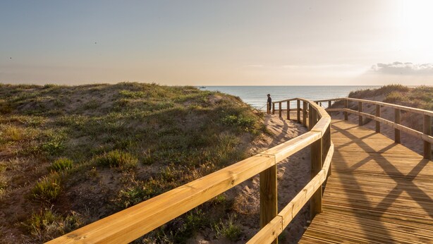 Une promenade en bois qui mène à une plage bordée de dunes, avec l’océan en toile de fond.