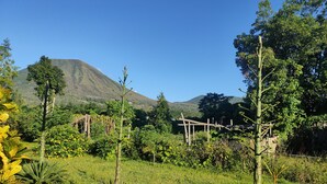 A lush garden with various plants and a wooden structure in the foreground. - ilasan cottage (Tomohon)