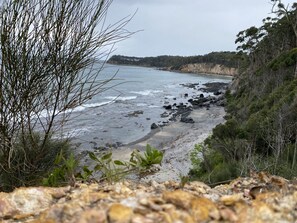A rocky beach with sparse vegetation and a view of the ocean.