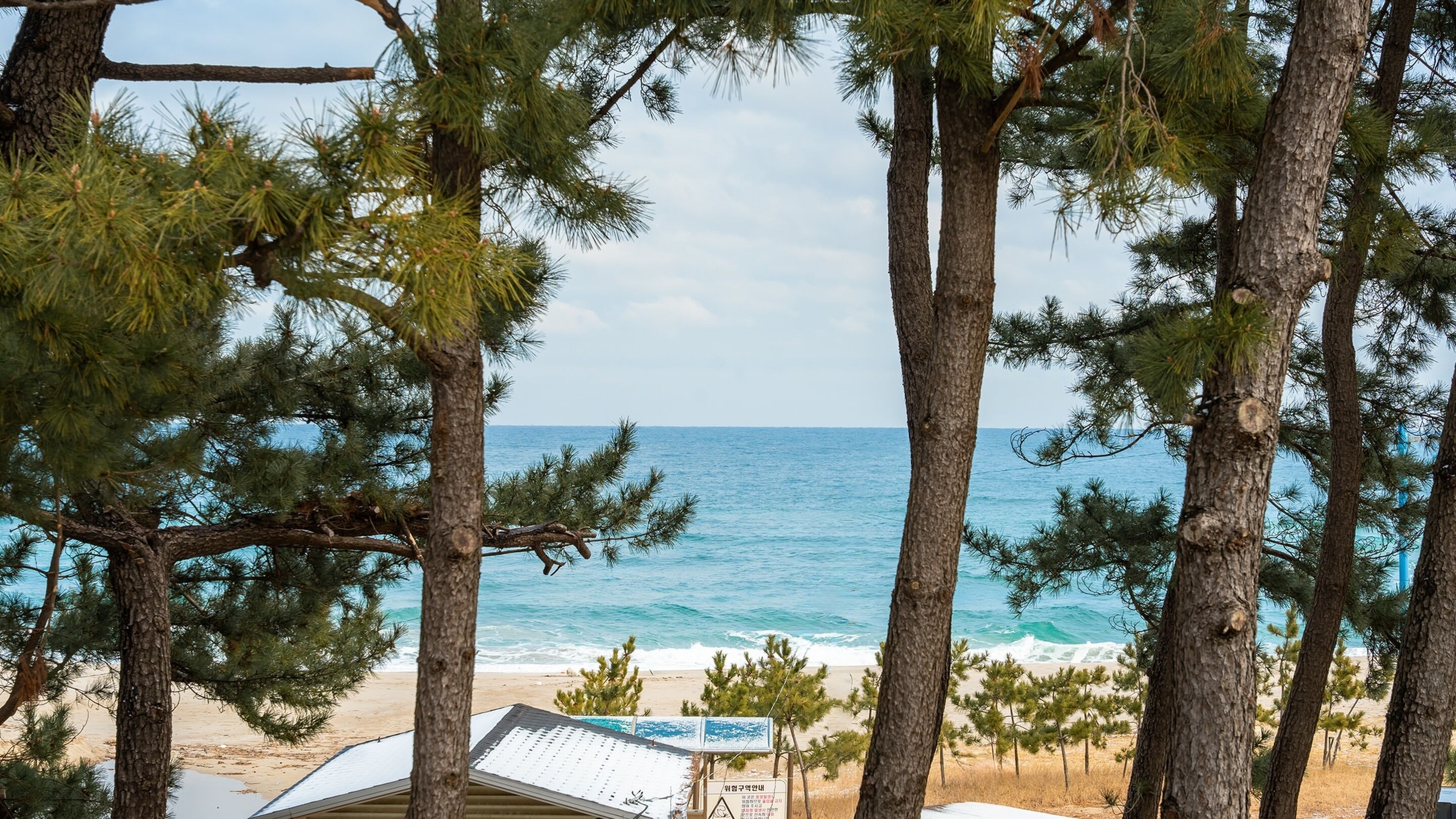 Basic Room, 1 Bedroom (B(Dokchae,Poolvilla,BBQ)) | Exterior